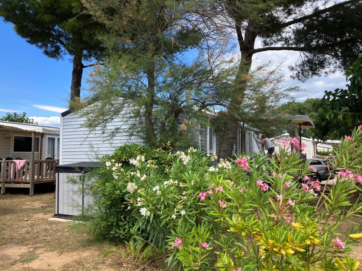 Mobil Home - Camping La Falaise Ναρμπόν Εξωτερικό φωτογραφία